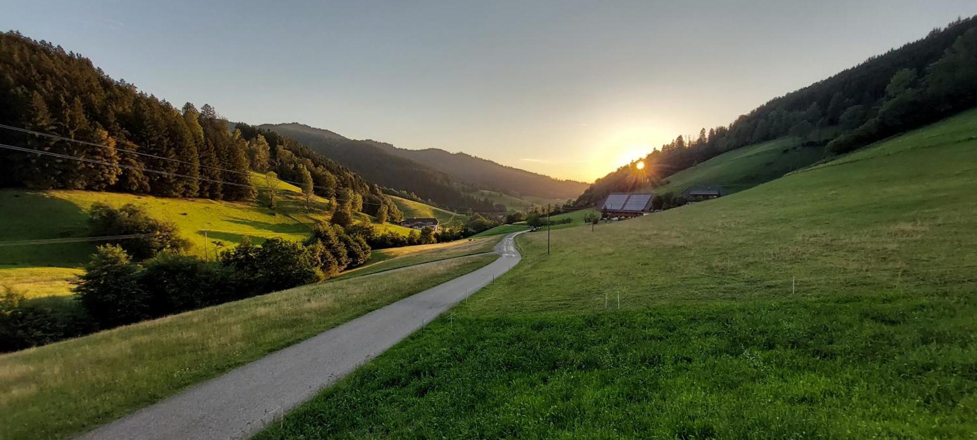 شقة Irgendwo Im Schwarzwald الزاخ المظهر الخارجي الصورة